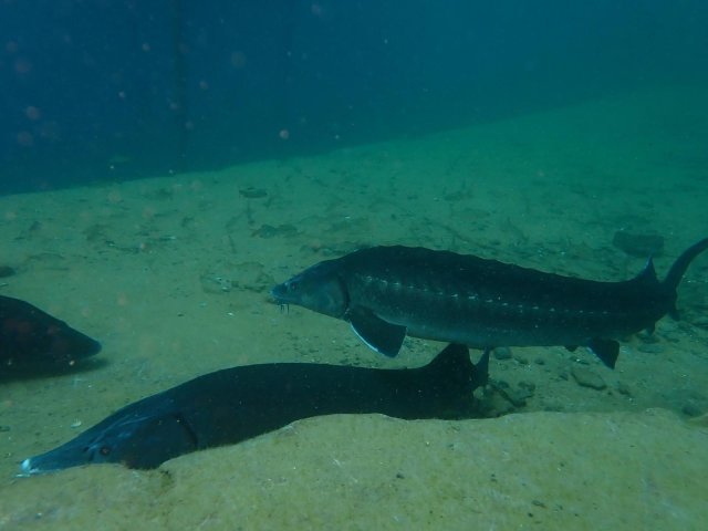 phoca thumb l img 20250707 wa0029
