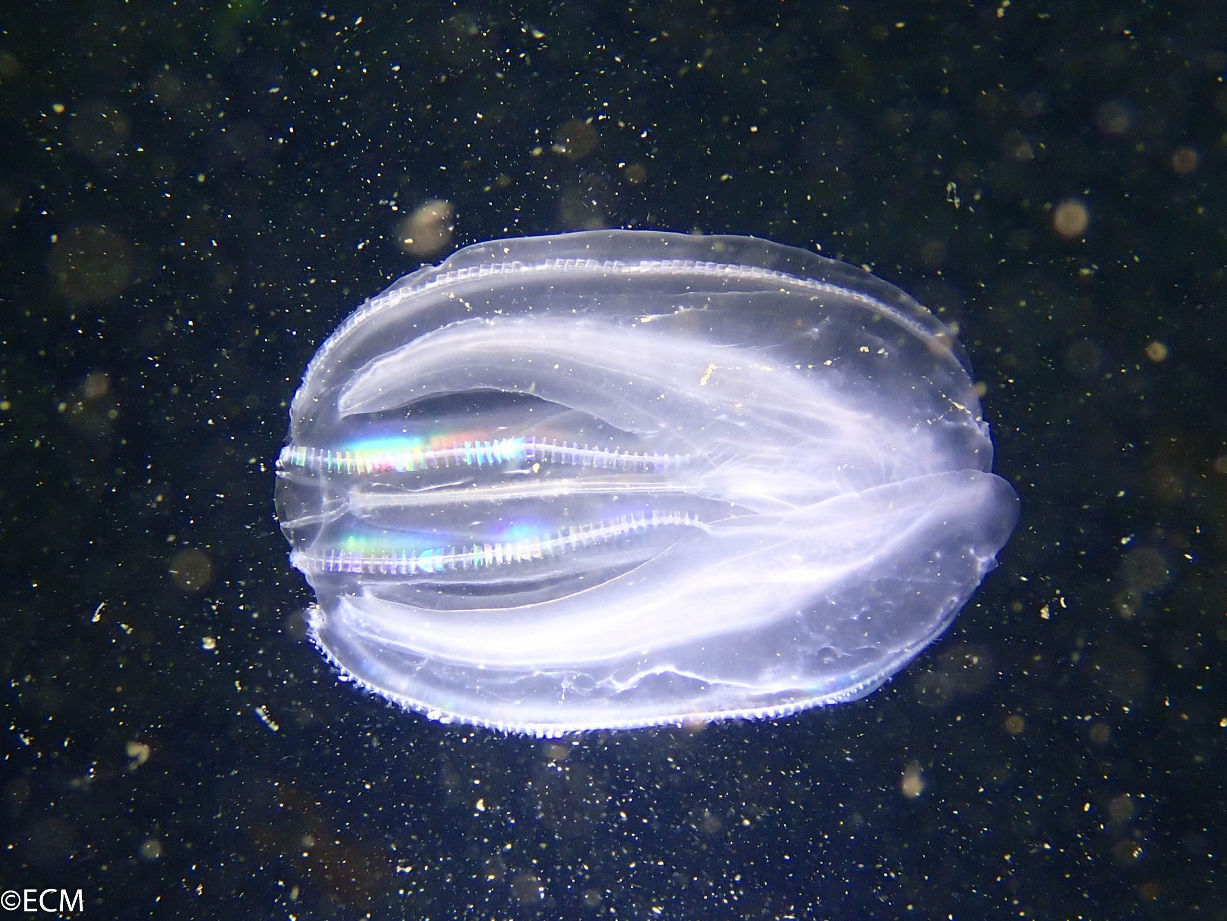 P9190581